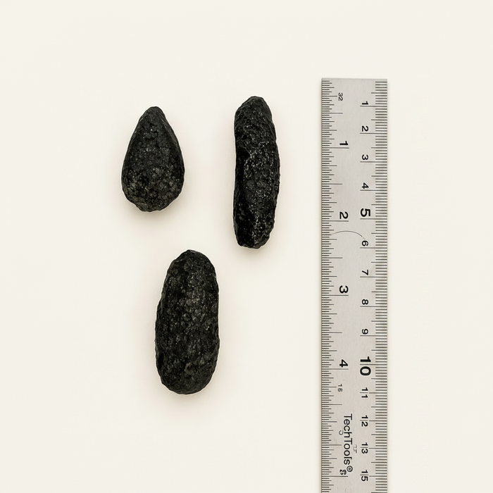 Collector Grade Natural Indochinite Tektites