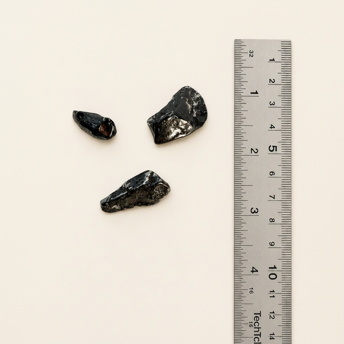 Gibeon Meteorite Fragments