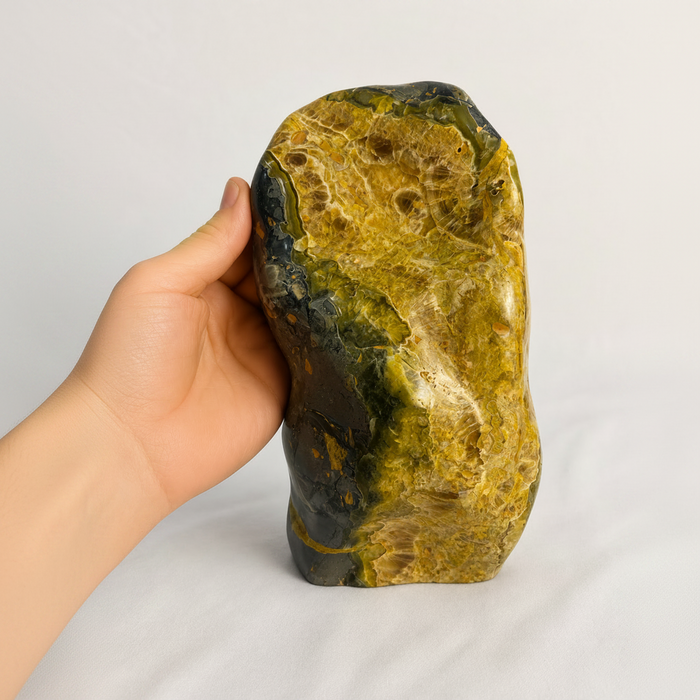 Bumble Bee Jasper
