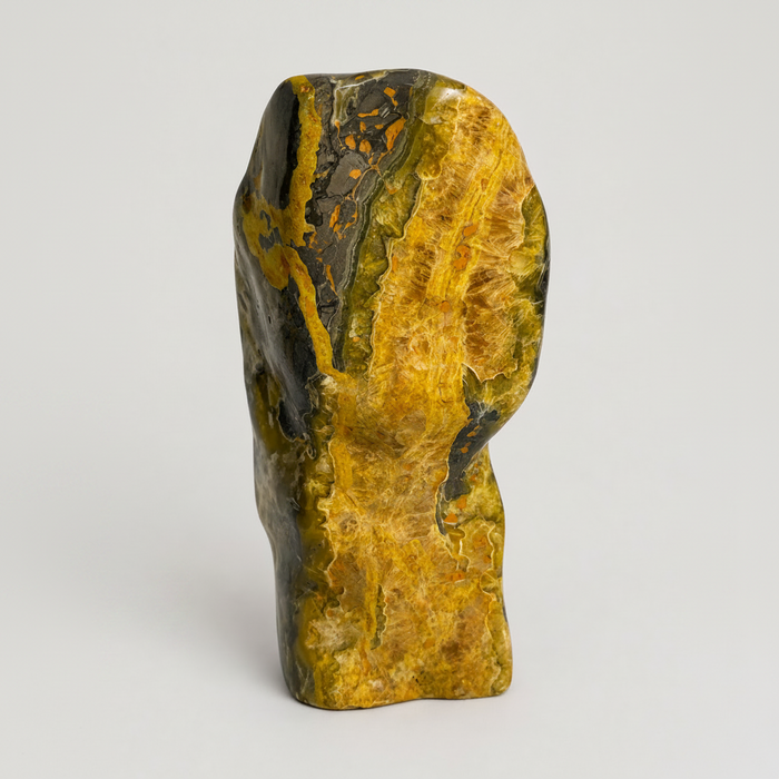 Bumble Bee Jasper