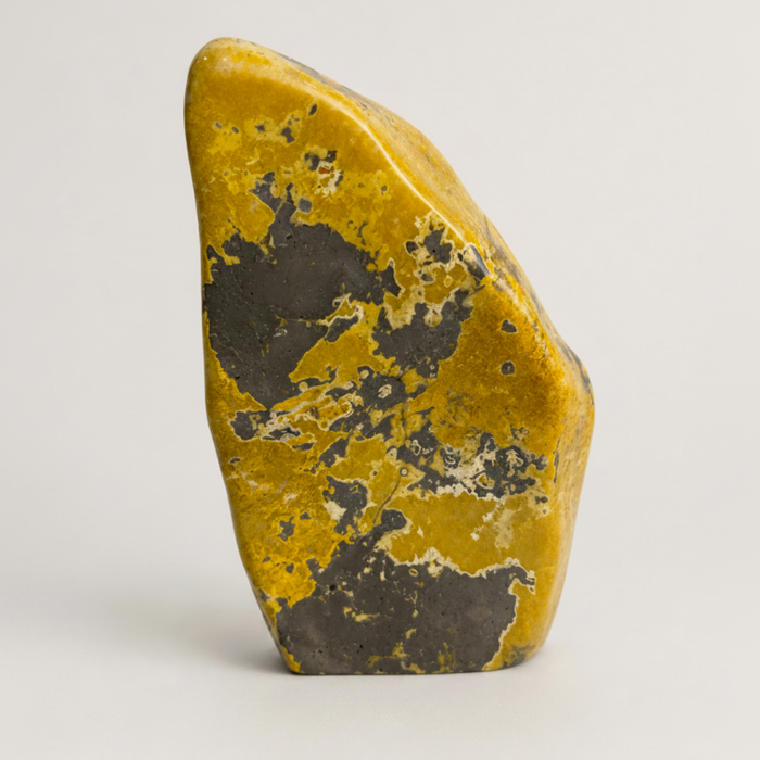 Bumble Bee Jasper