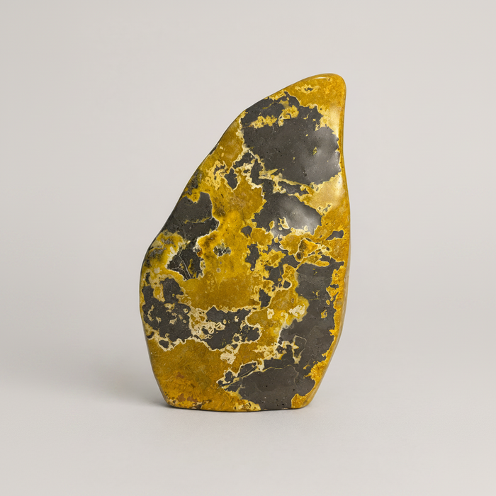 Bumble Bee Jasper