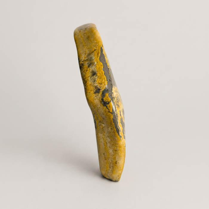 Bumble Bee Jasper