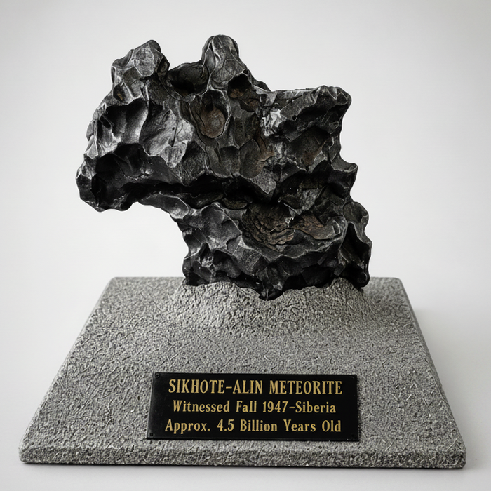 Sikhote Alin Meteorite with Stand