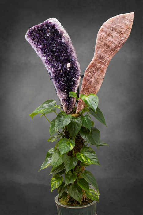 Amethyst/Hematoid