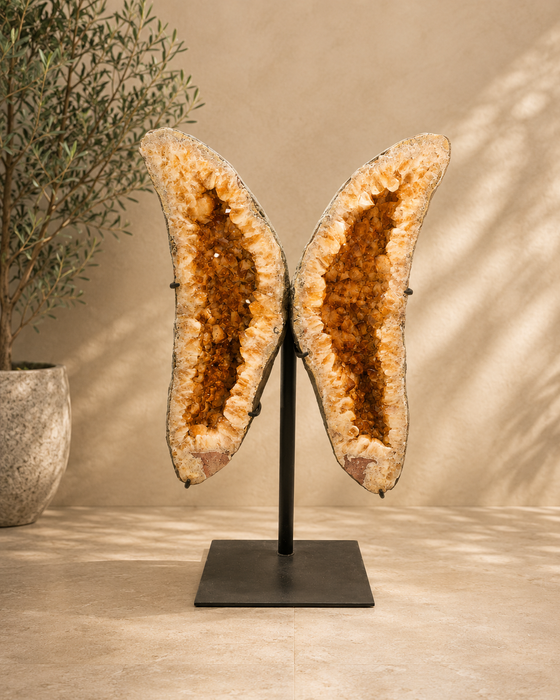 Citrine Wings