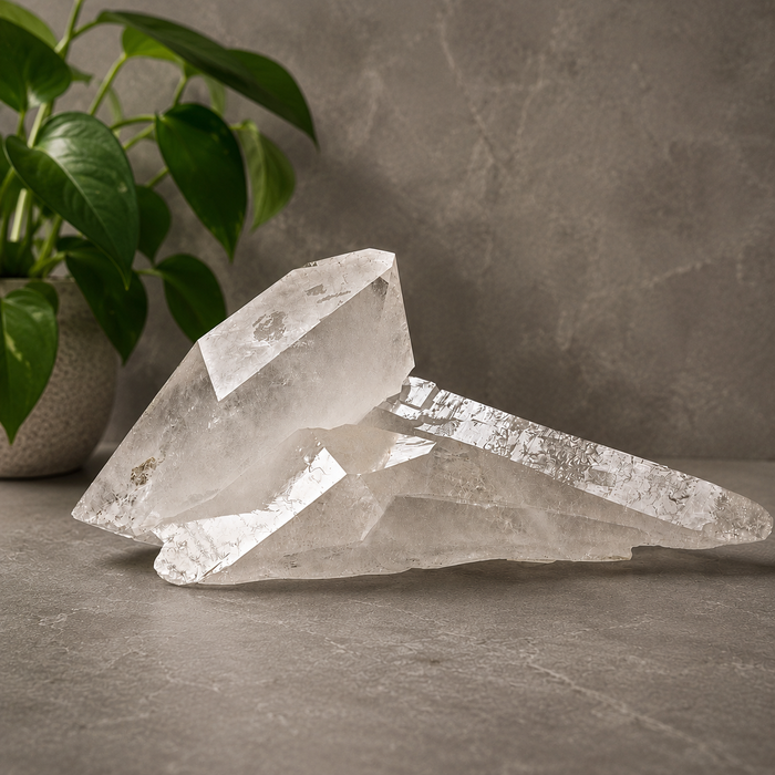 Clear Quartz Cluster